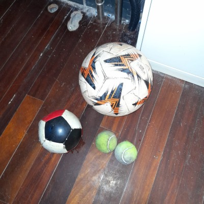 baloa-pelotak.jpeg